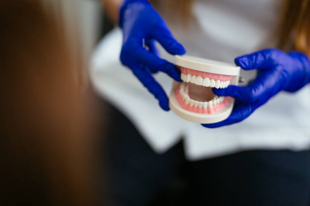 Arnold Line, MS  Holistic Dental Services Company
